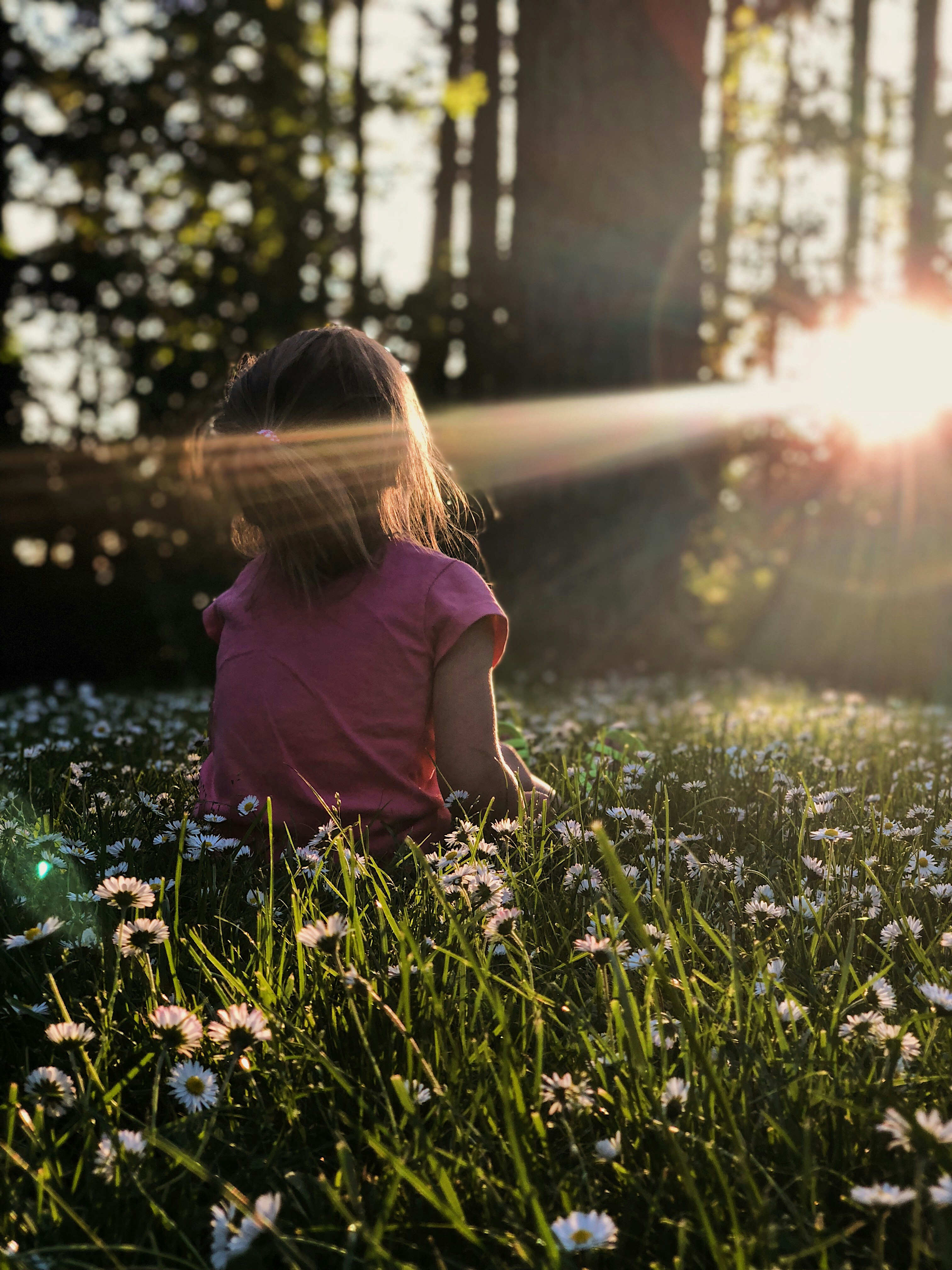 Helping Your Child Thrive in a Competitive Academic Environment - Bay Area IQ testing insights and advice for parents