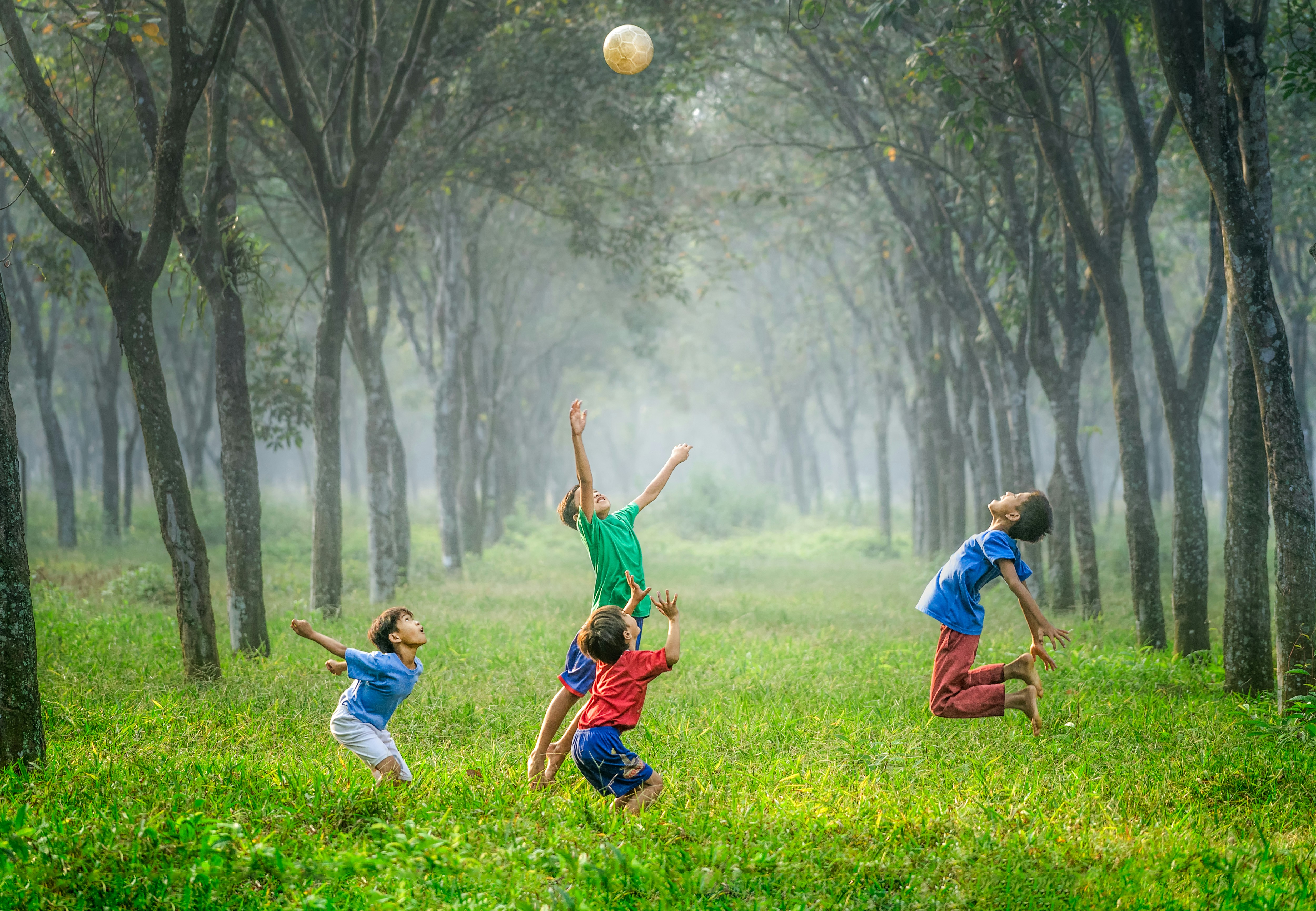 Private School IQ Testing in the Bay Area: What Parents Need to Know (and How to Make It Count) - Bay Area IQ testing insights and advice for parents